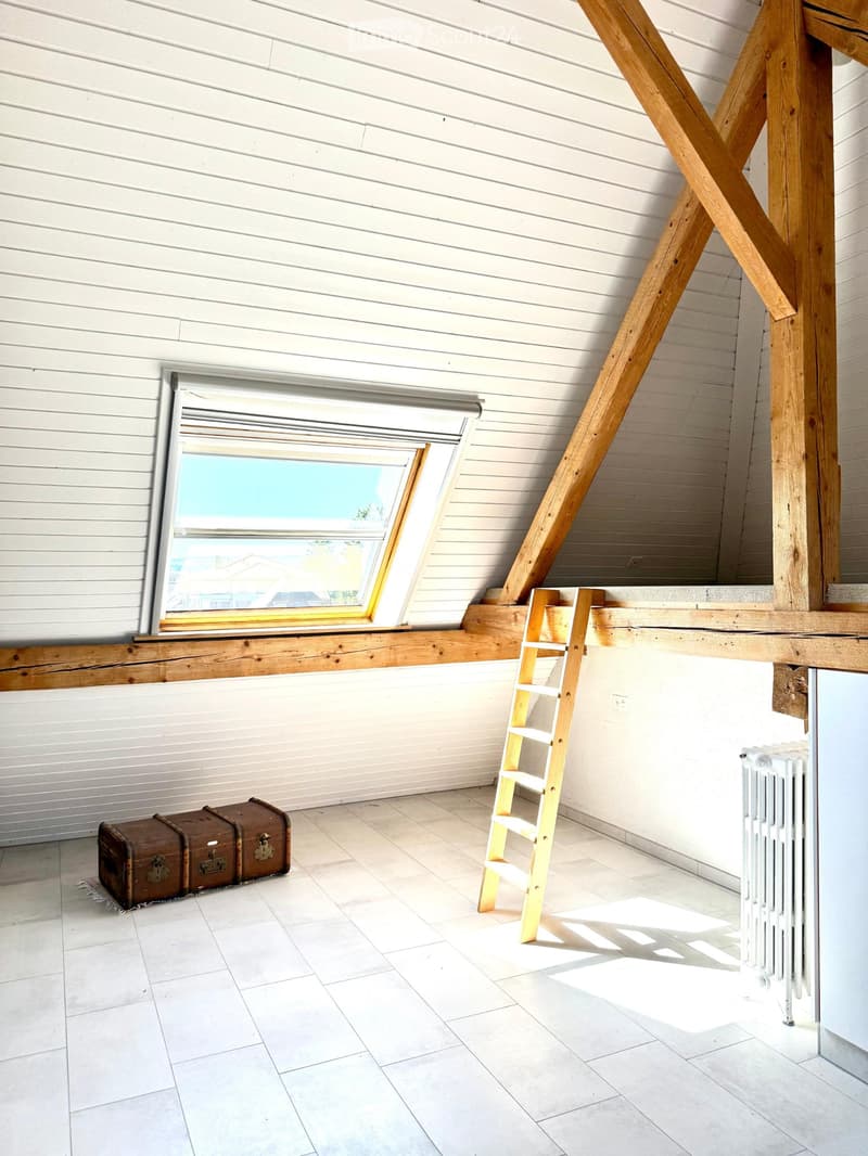 Appartement "sous le ciel" avec jardin commun (1)
