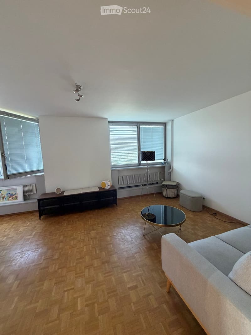 Chambres meublées avec vue panoramique, piscine sur le toit (4)