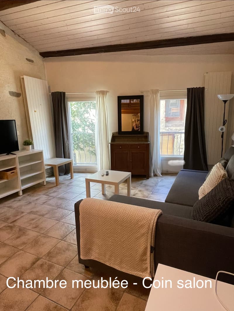 Grande chambre meublée, 45m2, dans maison vigneronne (3)