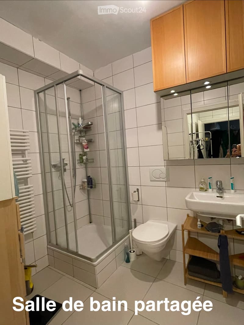 Grande chambre meublée, 45m2, dans maison vigneronne (10)