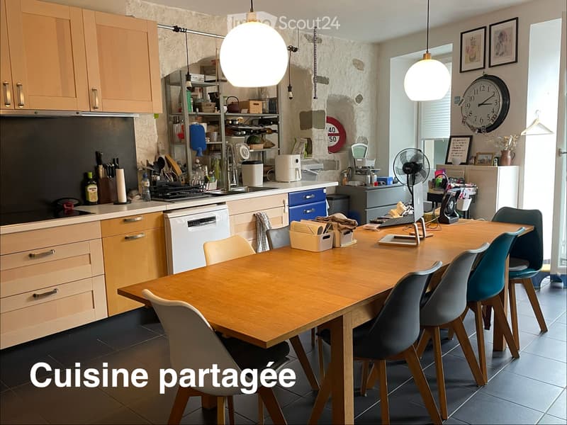 Grande chambre meublée, 45m2, dans maison vigneronne (9)