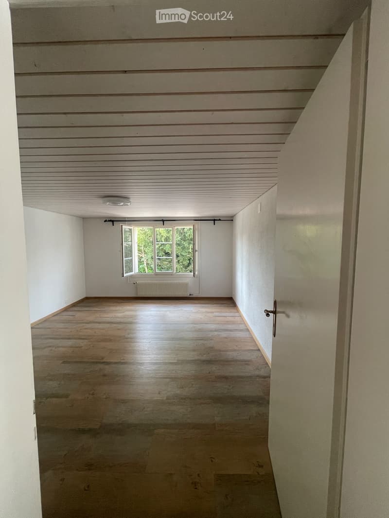 3.5 Zimmer Wohnung in ruhiger Lage (1)