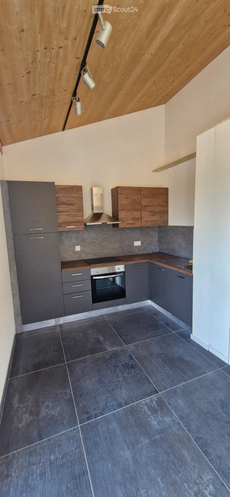 Le Pâquier Très bel appartement de 1,5 pièce à louer (2)