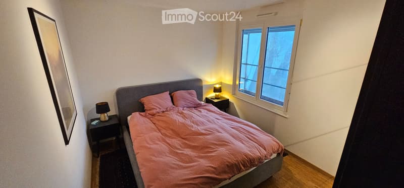 Remise de bail, appartement 5,5 pièces (3)