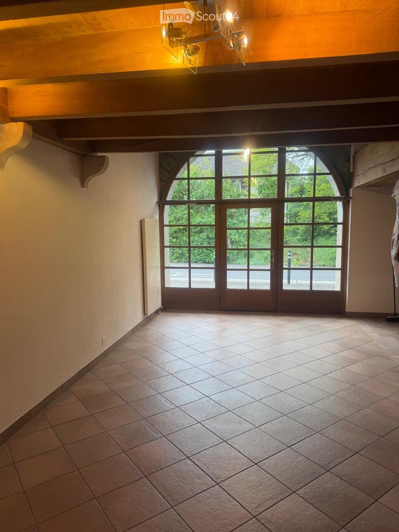Charmant duplex de caractère 5,5 pièces 130 m² + jardin (5)