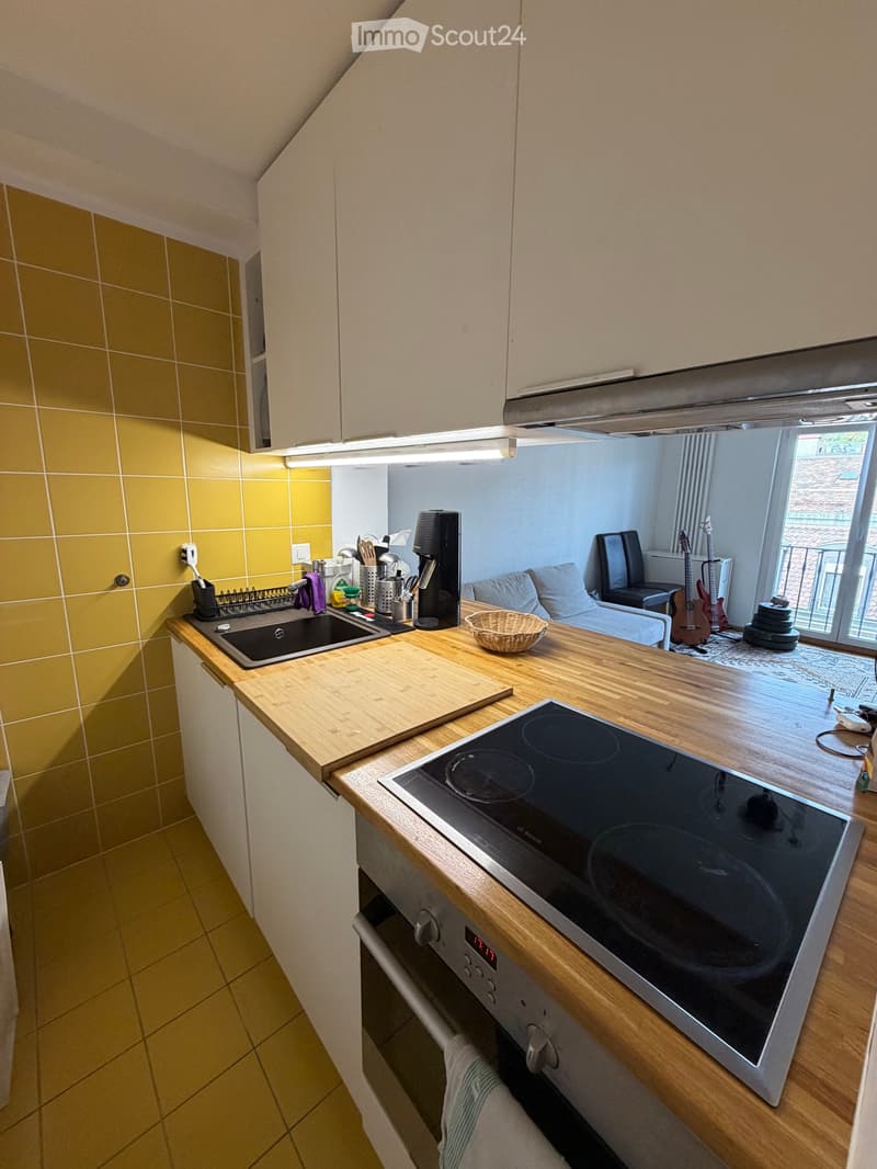 Location appartement au centre de Vevey (3)