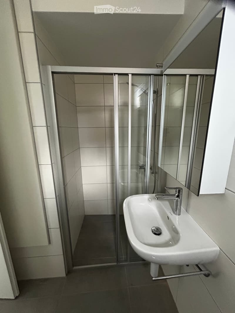 Appartement 3 pièces à louer à Serrières (4)