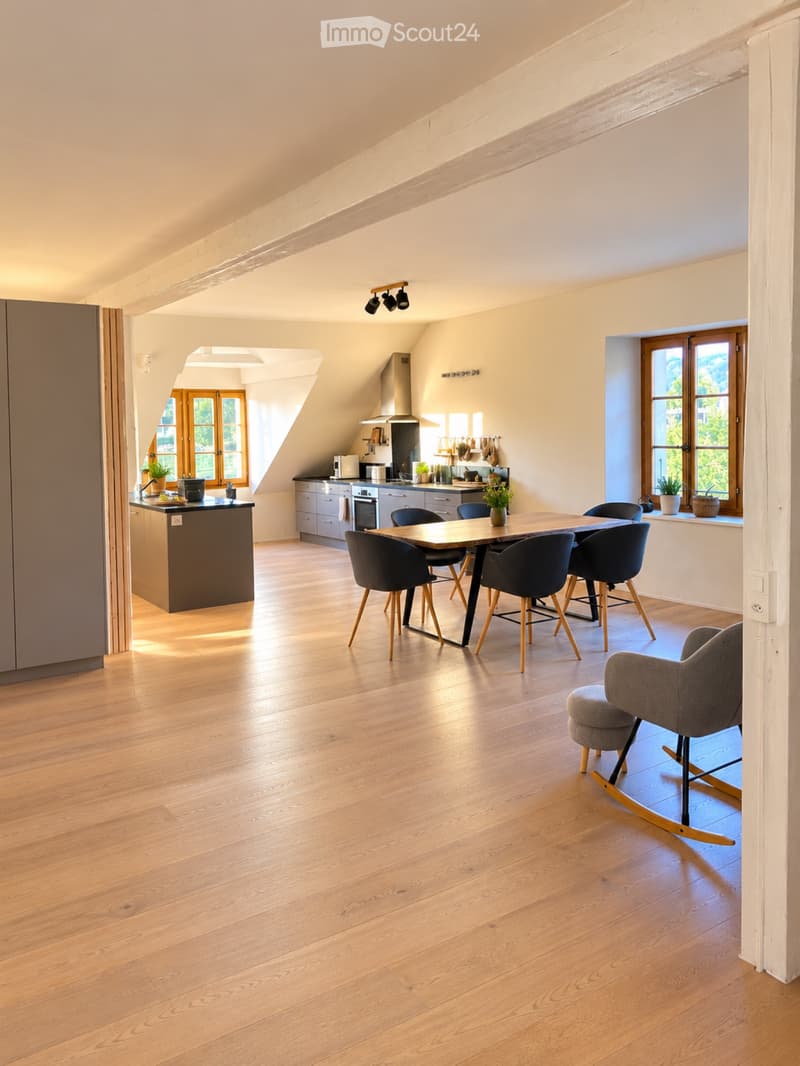 Magnifique loft, reprise de bail (1)