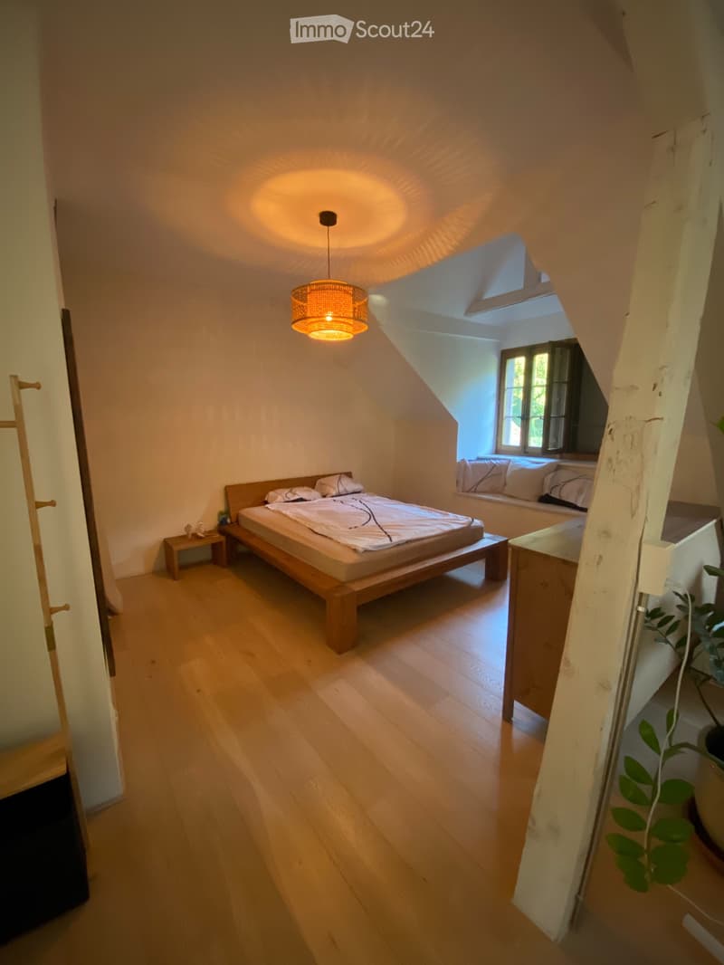 Magnifique loft, reprise de bail (5)