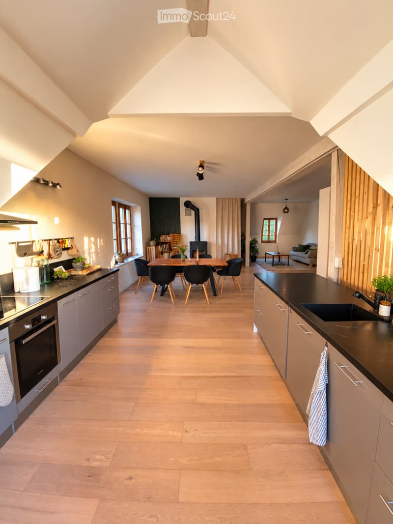 Magnifique loft, reprise de bail (3)