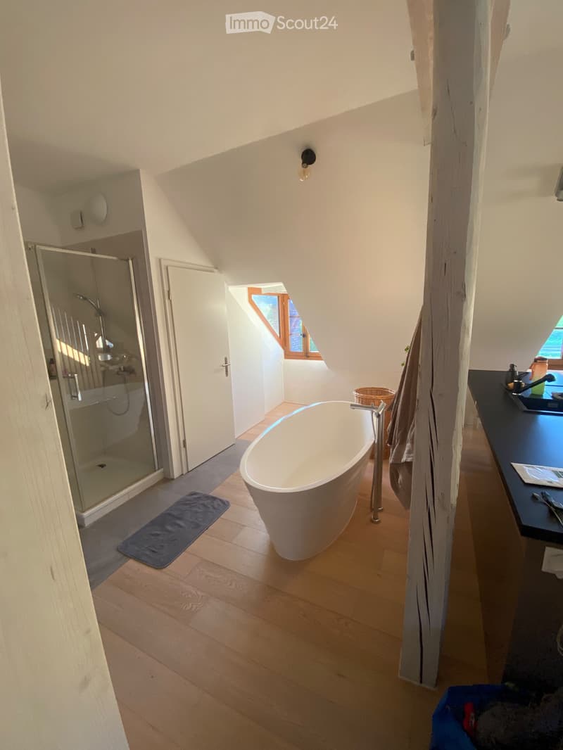 Magnifique loft, reprise de bail (4)