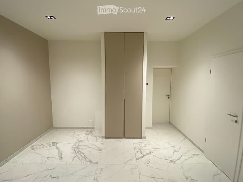 Appartement luxueux et moderne de 2 pièces (5)