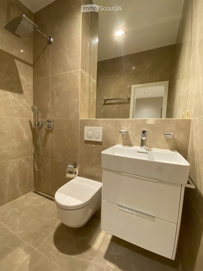 Appartement luxueux et moderne de 2 pièces (4)