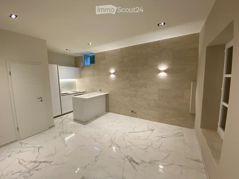Appartement luxueux et moderne de 2 pièces (1)