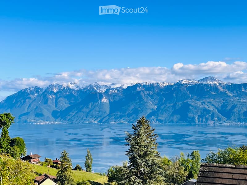 Magnifique maison avec superbe vue lac à Grandvaux (1)
