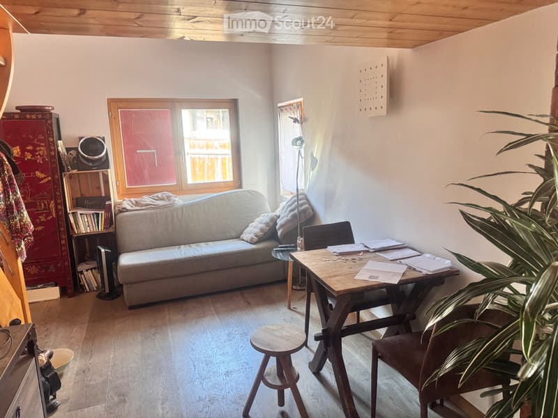 Petit chalet indépendant (5)