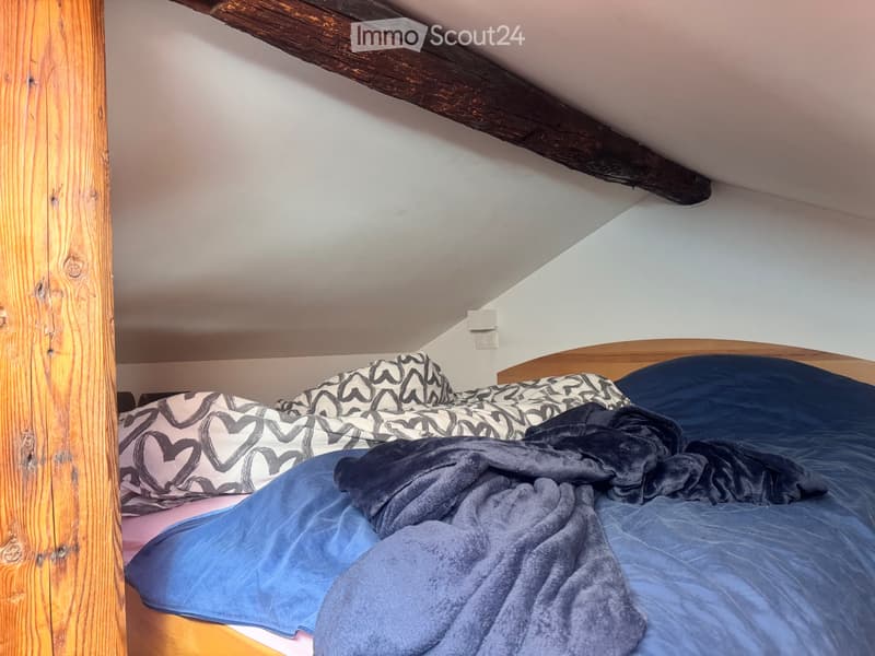 Petit chalet indépendant (2)