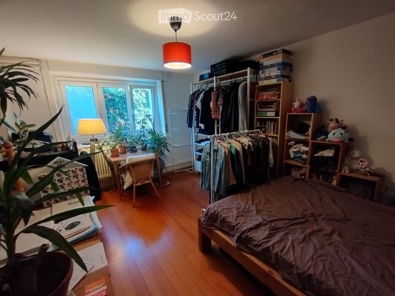 Appartement à louer 2,5 pièces - dès le 15 octobre (5)