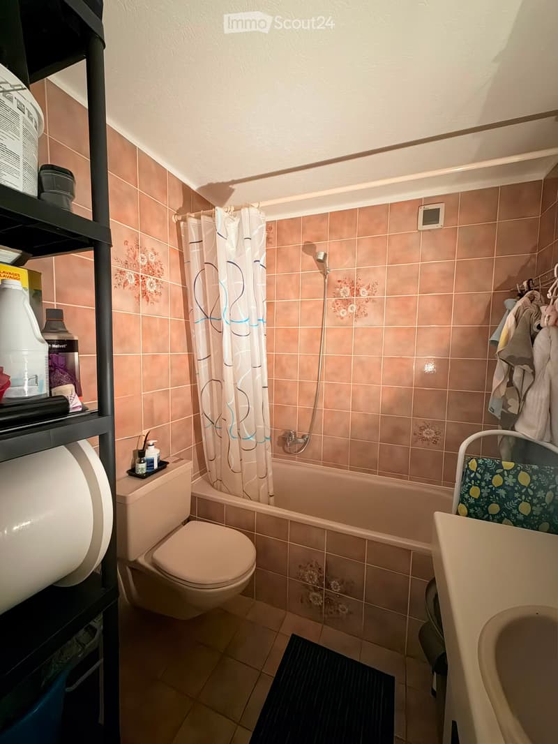 Appartement spacieux a Coppet (1)