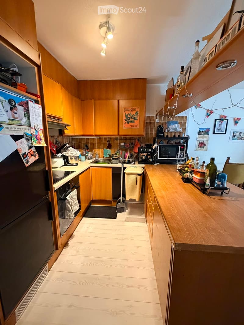 Appartement spacieux a Coppet (4)