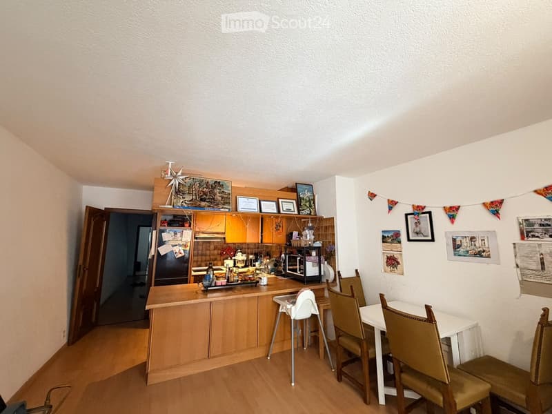 Appartement spacieux a Coppet (5)