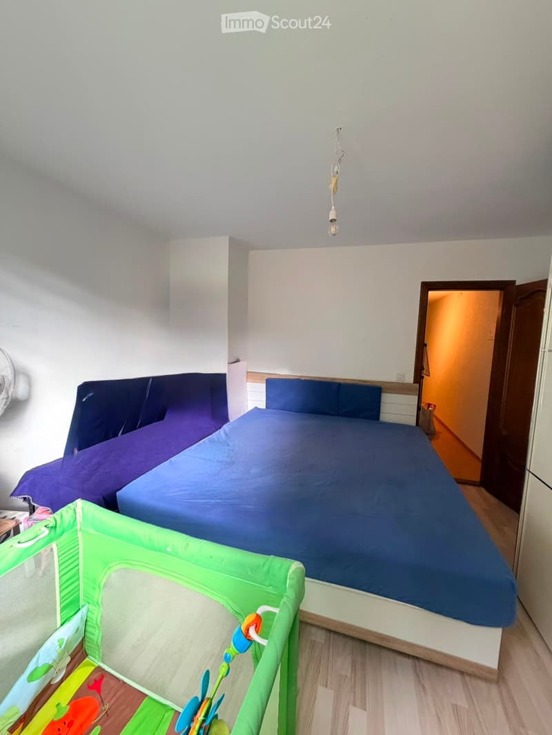 Appartement spacieux a Coppet (2)