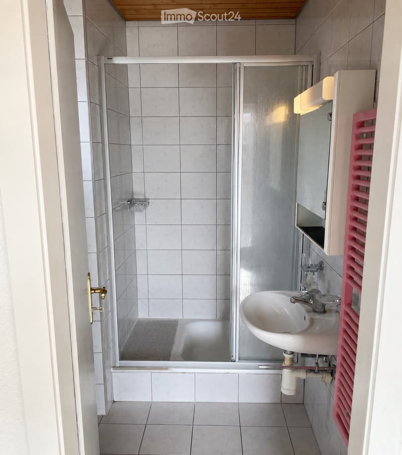 Bel appartement de 2.5pcs à Montreux (3)
