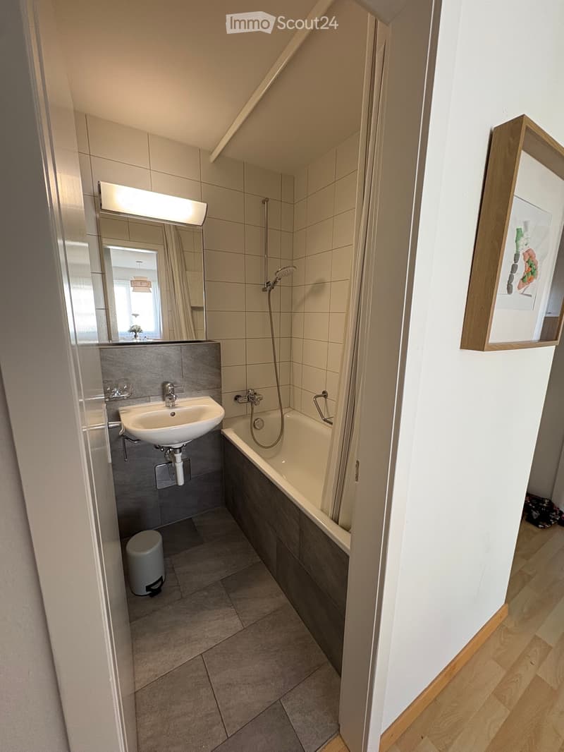 Schöne möblierte Wohnung zur Miete gesucht. (4)