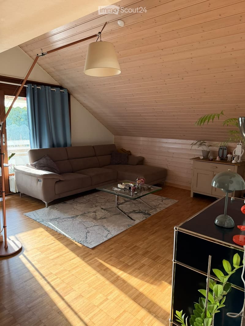 Charmant appartement de 2 pièces avec mezzanine (1)