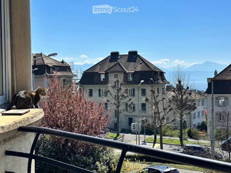 Wonderful apartment available for rent (Lausanne, Vidy) (1)