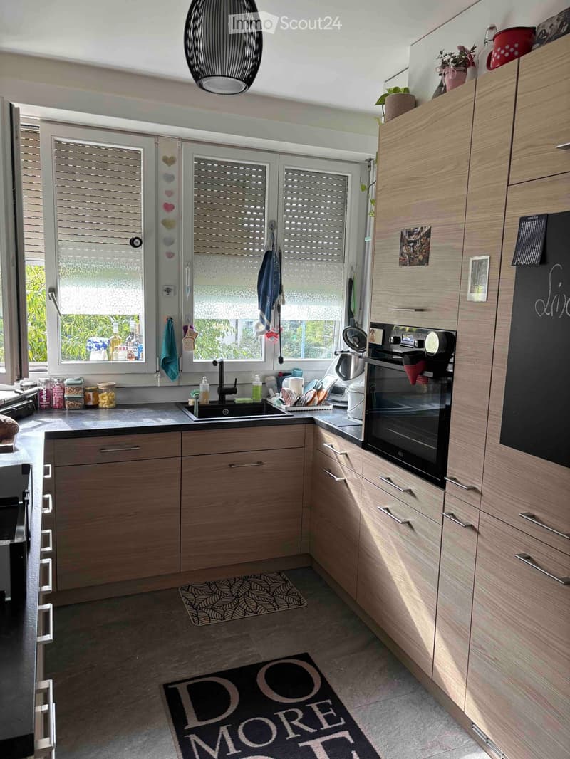 Wonderful apartment available for rent (Lausanne, Vidy) (4)