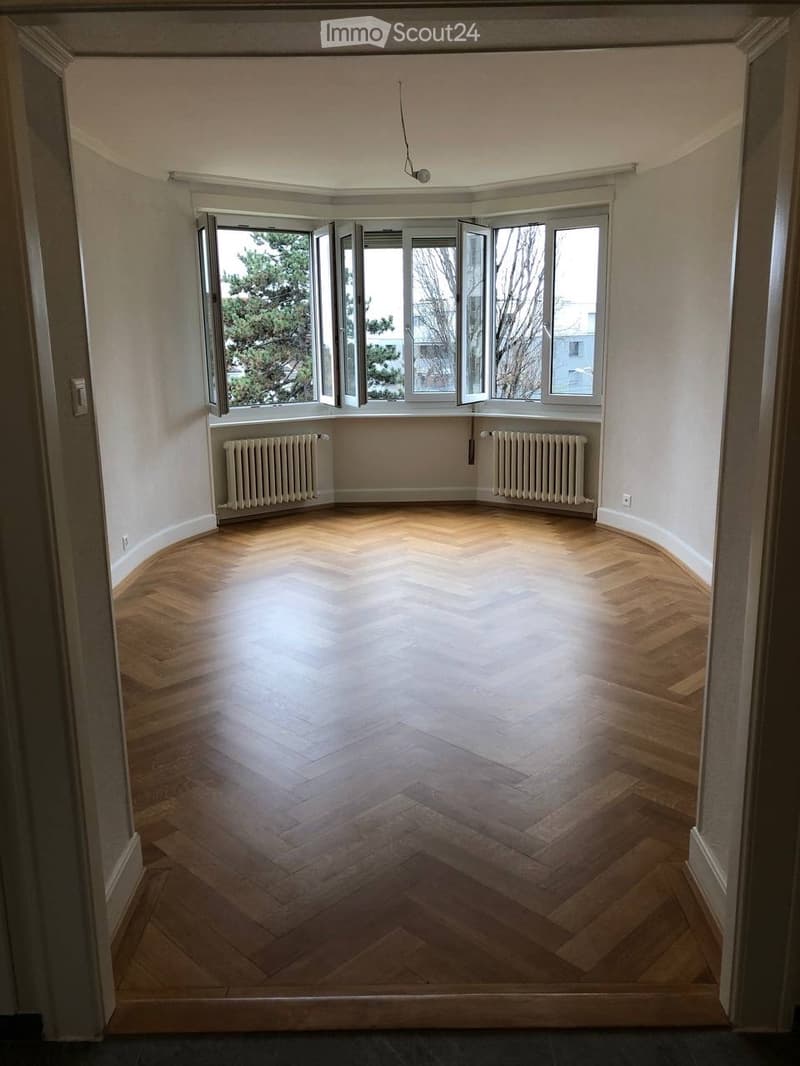 Wonderful apartment available for rent (Lausanne, Vidy) (2)