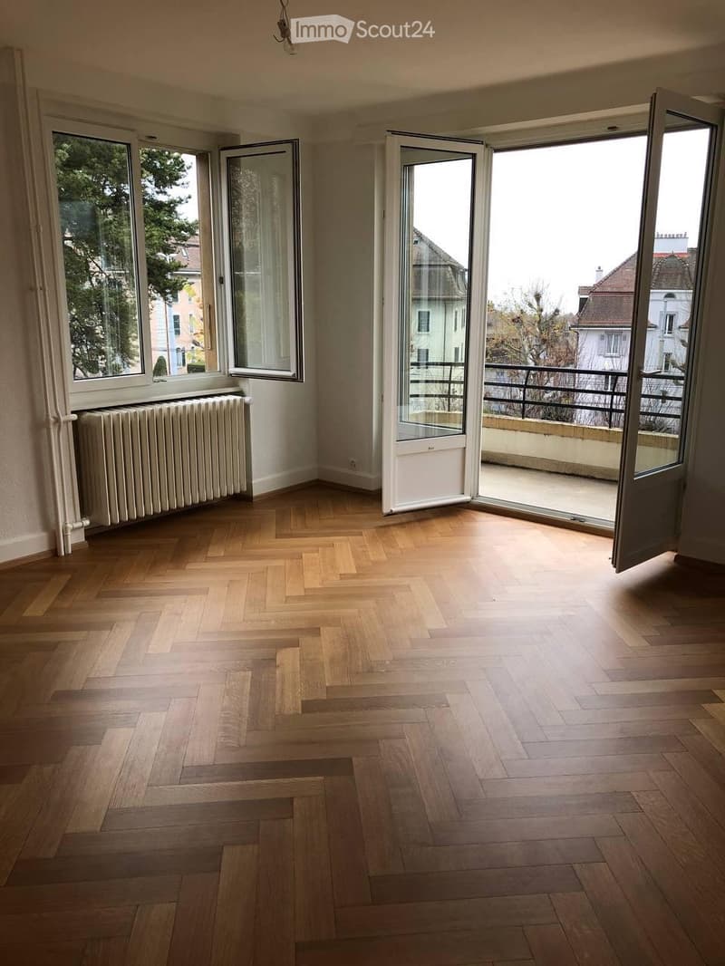 Wonderful apartment available for rent (Lausanne, Vidy) (3)