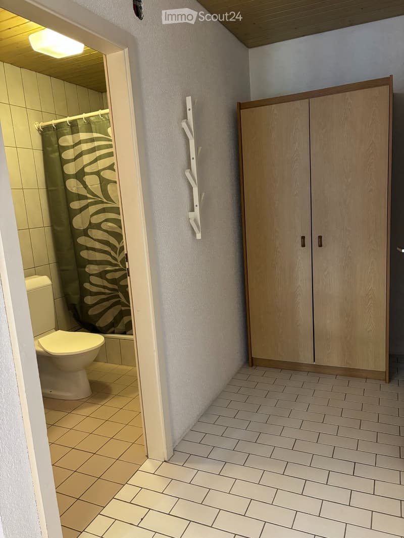 Charmant studio meublé de 35m² (3)
