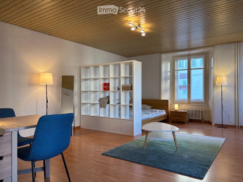Charmant studio meublé de 35m² (1)