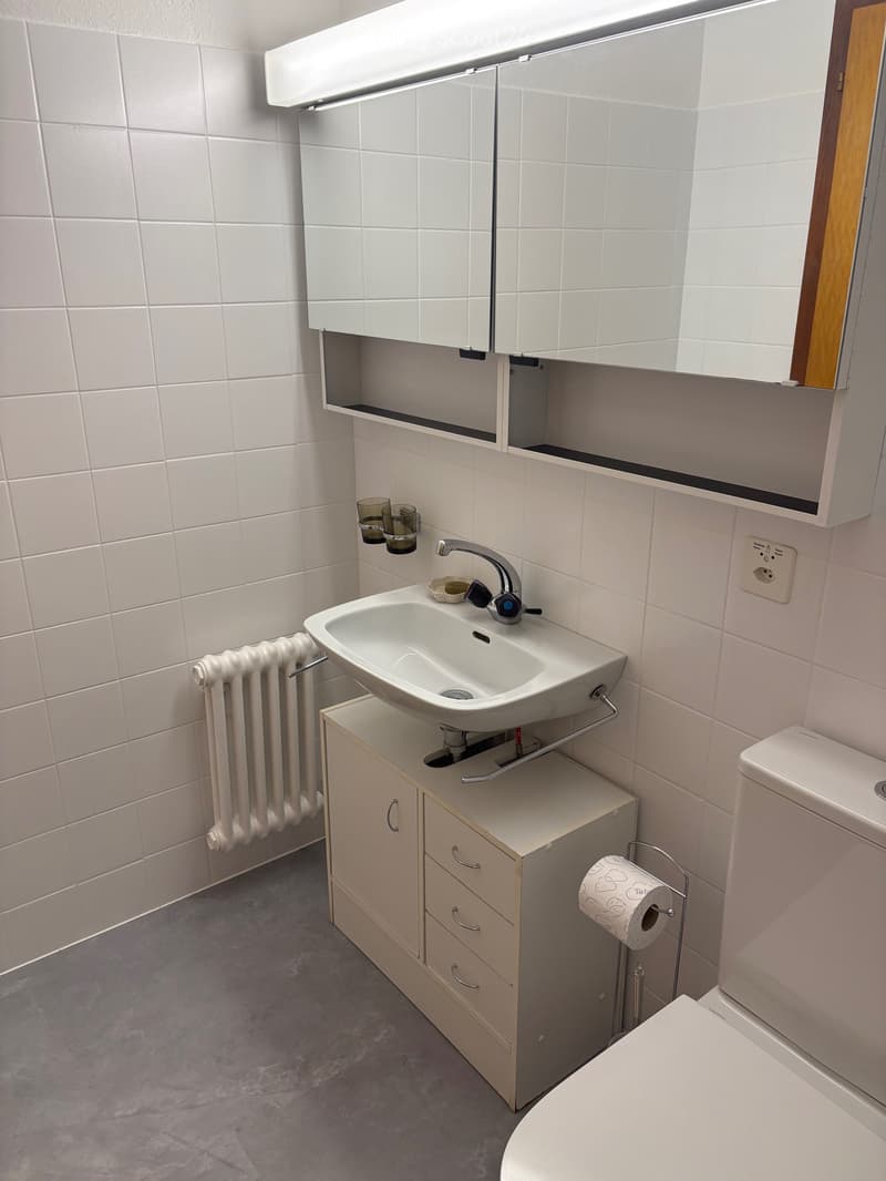 Location à lannée - studio rénové surface habitable de 30m2 (3)