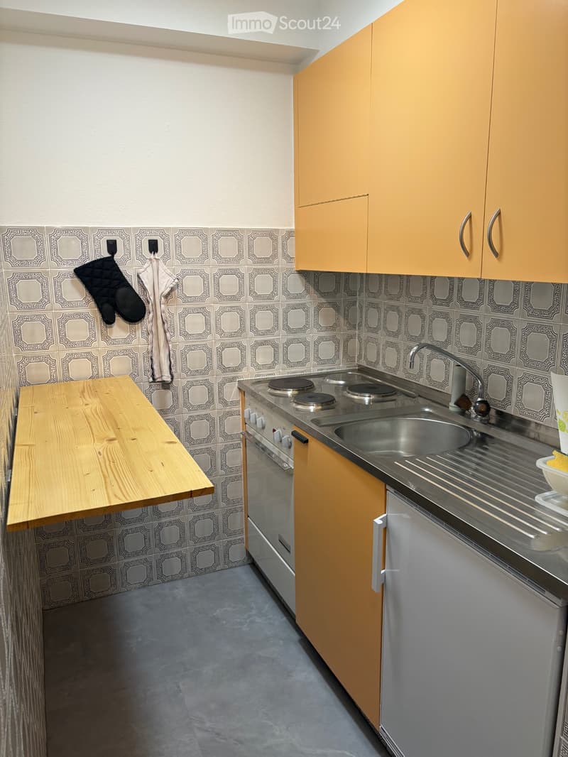 Location à lannée - studio rénové surface habitable de 30m2 (4)