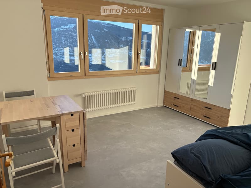 Location à lannée - studio rénové surface habitable de 30m2 (1)