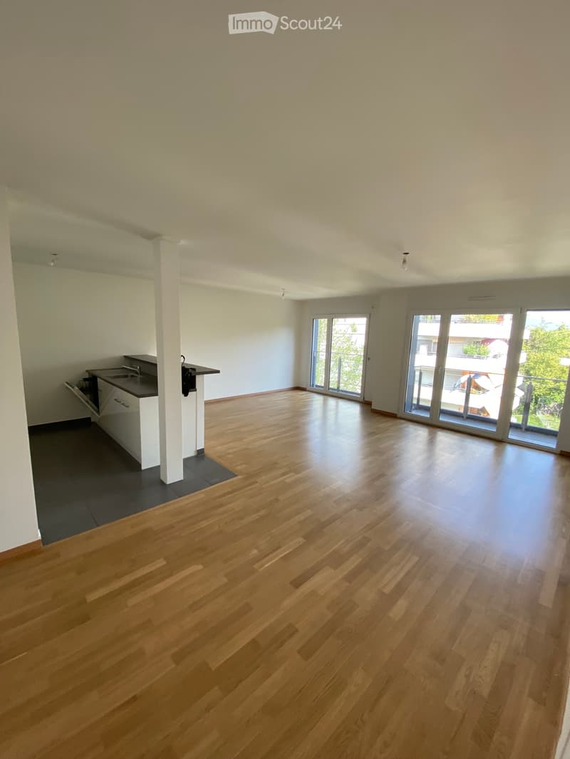 Appartement moderne de 5 pièces à Carouge (1)