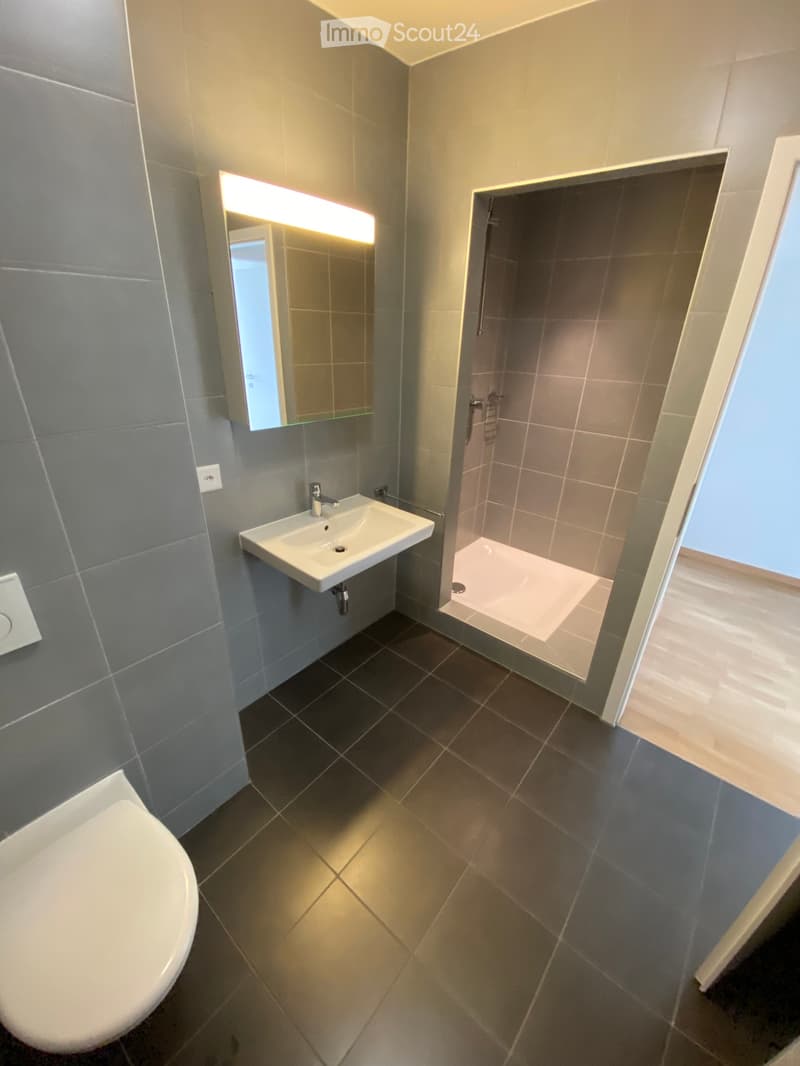 Appartement moderne de 5 pièces à Carouge (2)