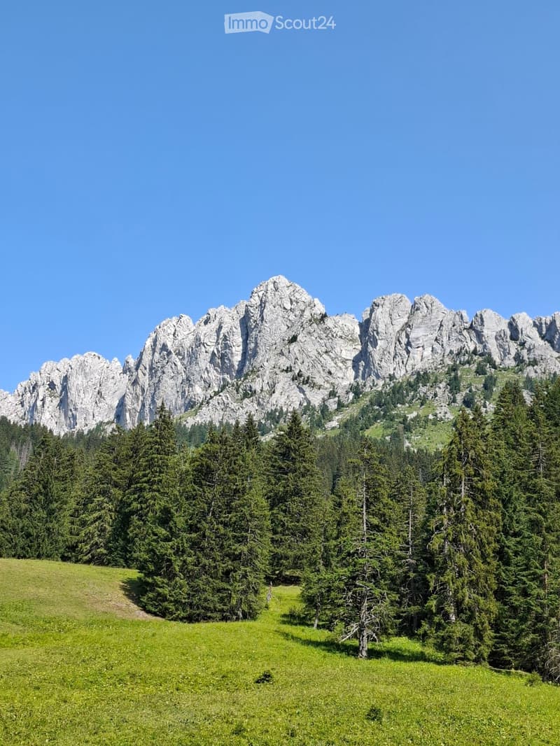 Charmant chalet à louer Ablaendschen (1)