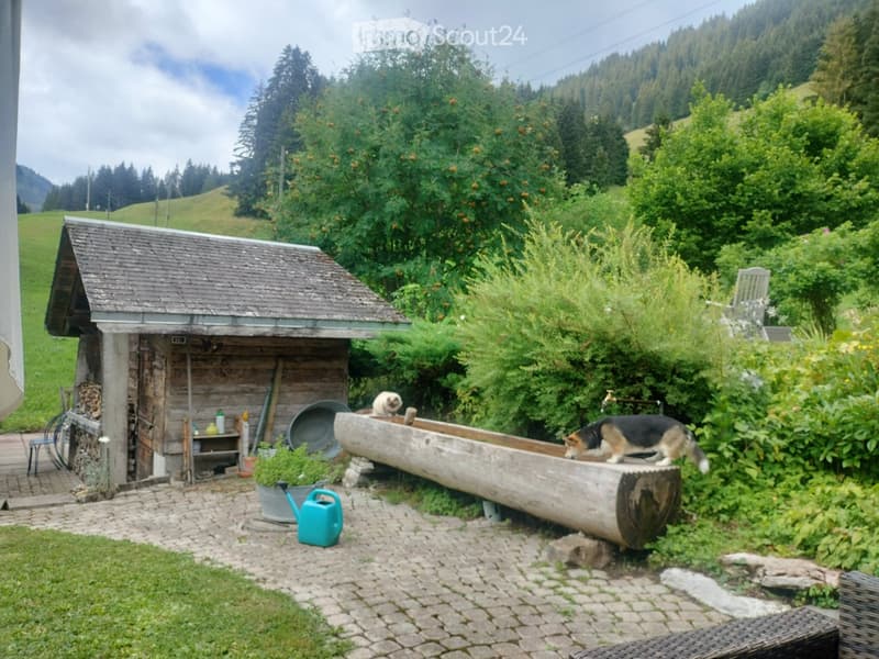 Charmant chalet à louer Ablaendschen (4)