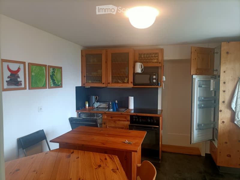 Zur Festmiete auch als Ferienwohnung 2½ Zimmer in Beatenberg (3)
