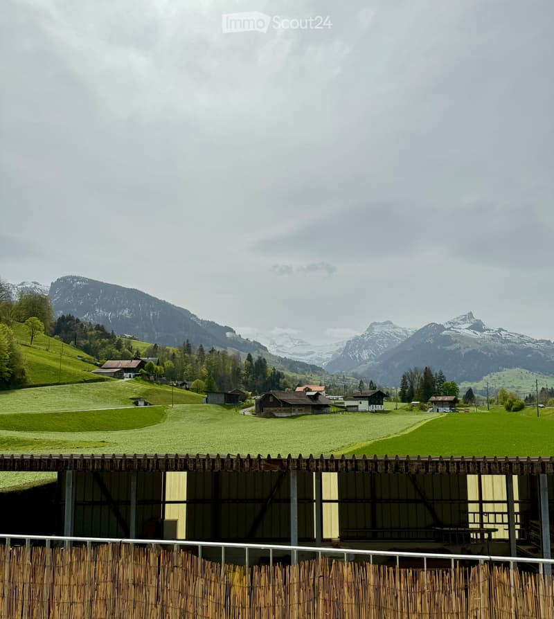 WG-Zimmer (2er-WG) in heller, moderner Wohnung (Nähe Spiez) (4)