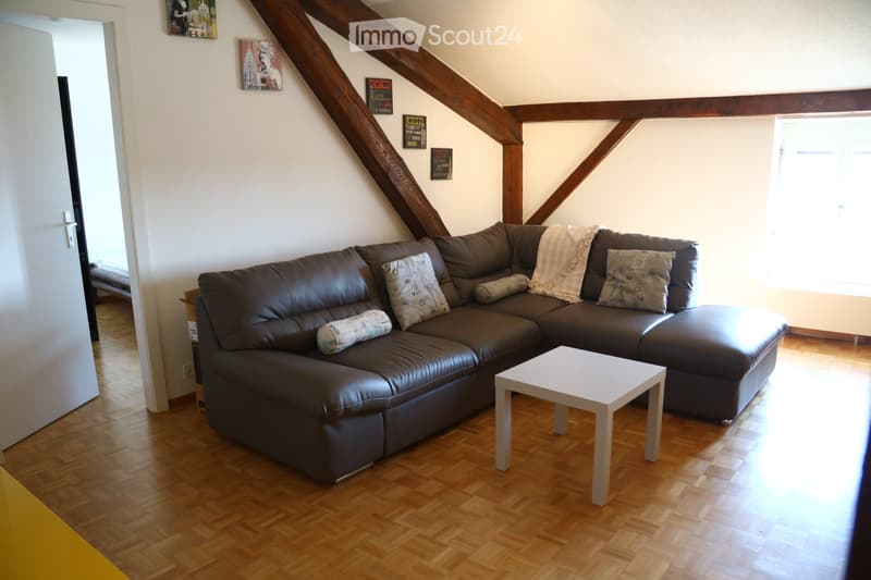 Appartement meublé de 2,5 pièces à Montreux (4)