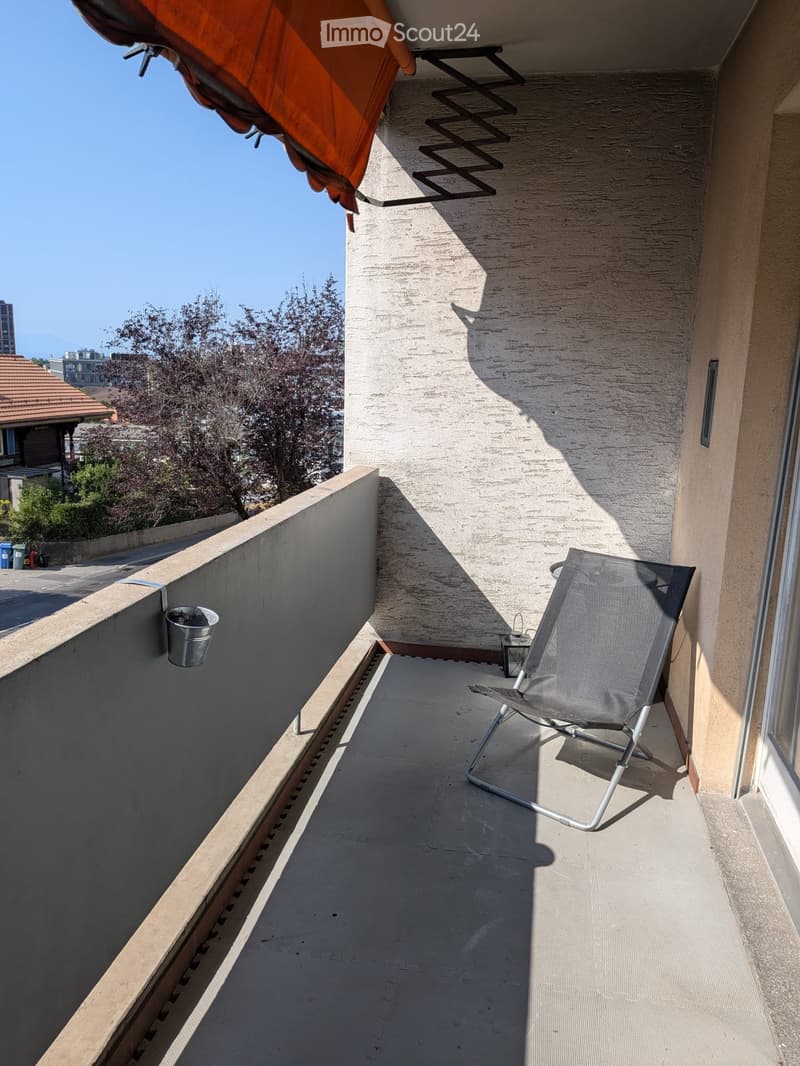 APPARTEMENT 2 PIECES A PRILLY - bail à durée déterminé! (2)