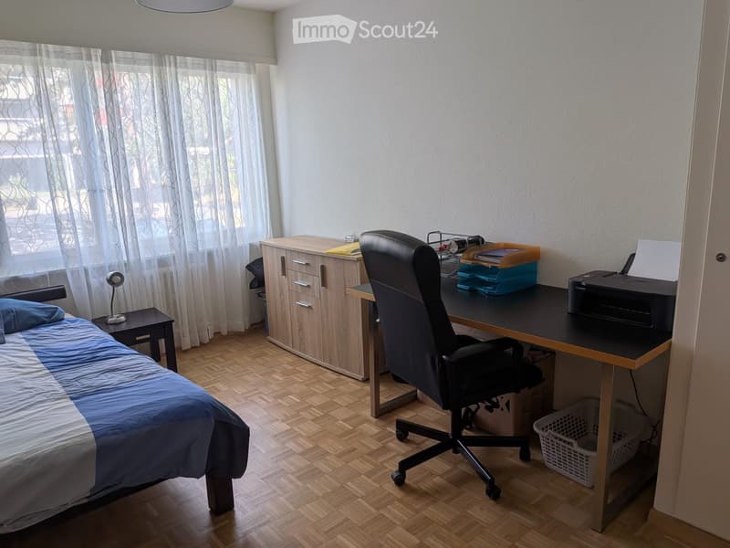 APPARTEMENT 2 PIECES A PRILLY - bail à durée déterminé! (3)