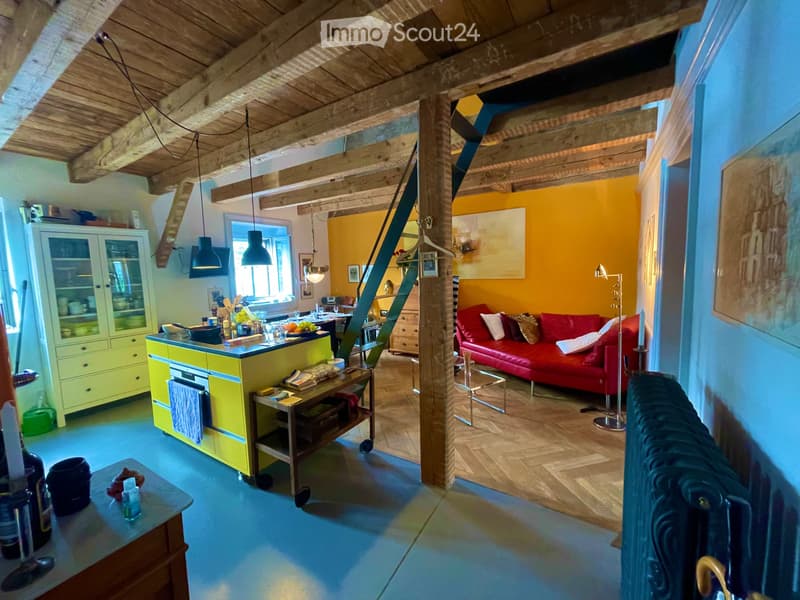 Einzigartige 3,5-Zimmer-Duplex-Wohnung mit Dachterrasse (3)