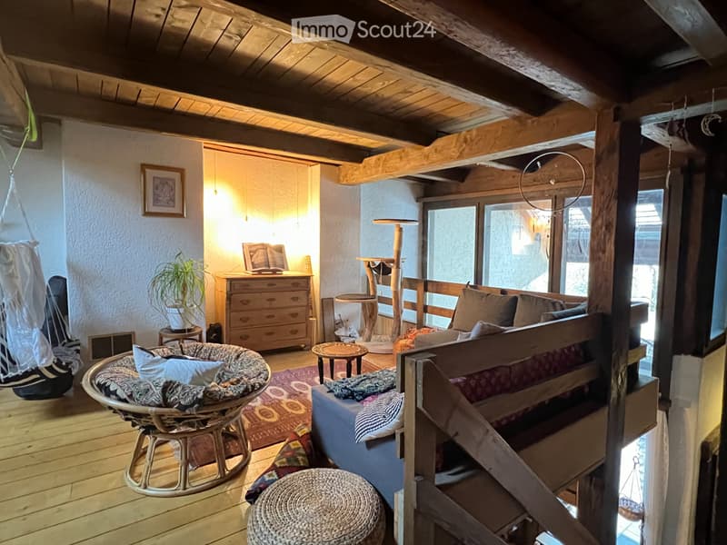 Charmant appartement de 5 pièces dans une ferme rénovée (1)