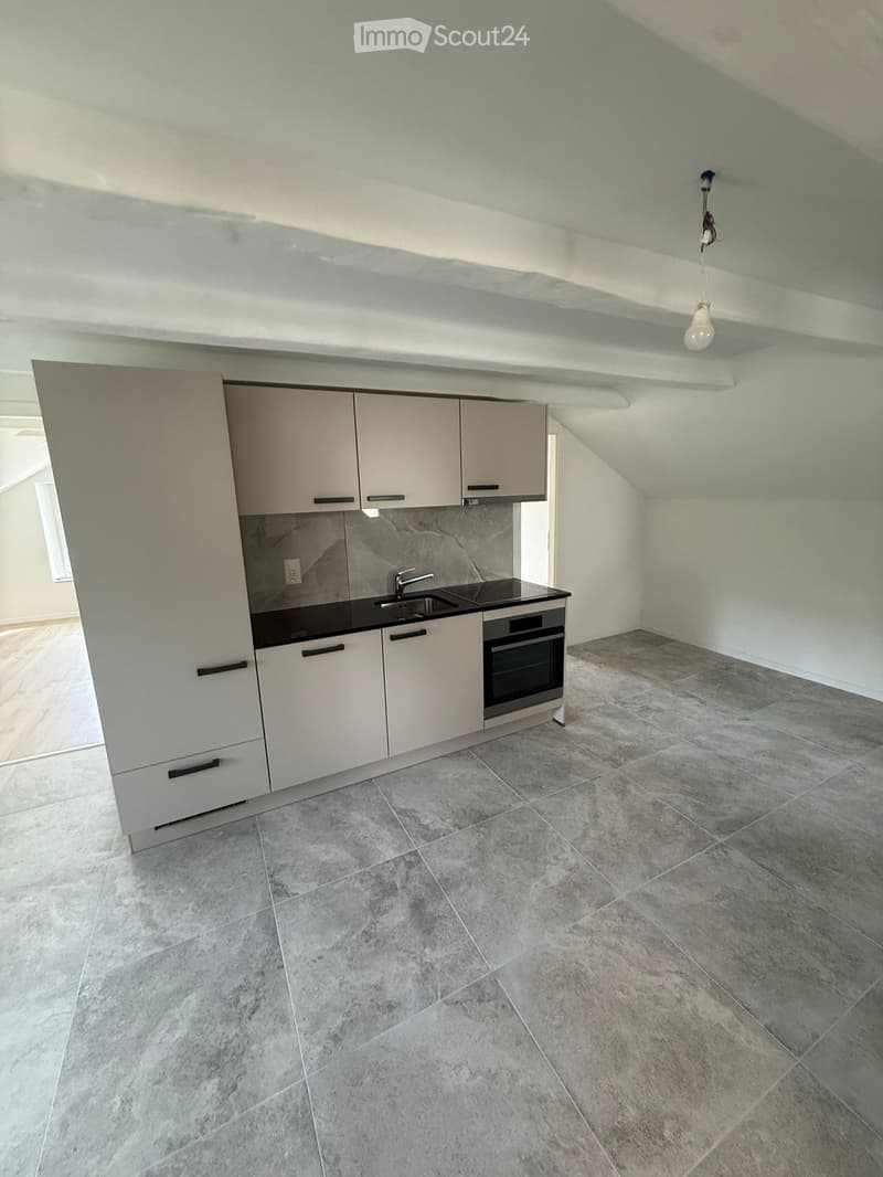 Appartement 4.5 pièces 1er étage entièrement rénové (3)
